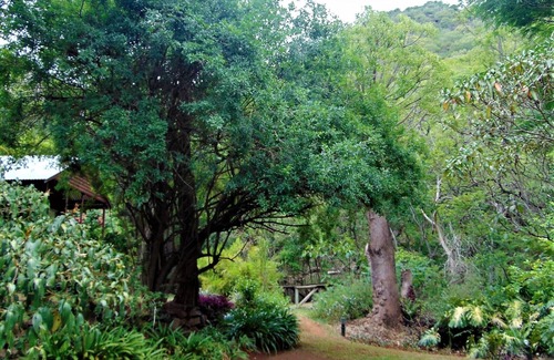 Umjindi Cottage | Fountain Baths Guest Cottages (Unité 1)