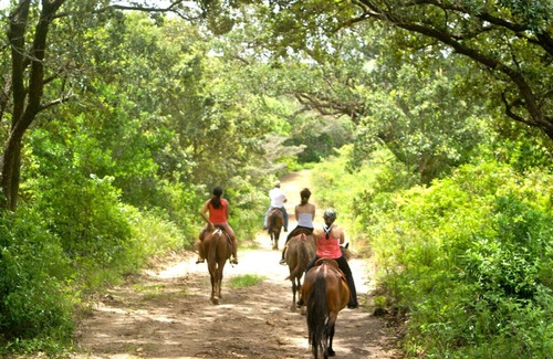 Mogote de Bagaces Appartement | Vida Aventura Nature Park: La combinaison parfaite d'aventure et de détente