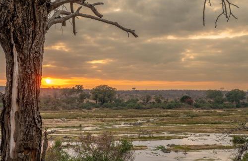 Marloth Park Cabine | Foxy Crocodile Bush Lodge & Kruger Safari's - No Loadshedding
