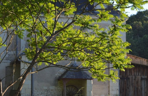 La Chapelle-Blanche-Saint-Martin Maison | Profitez de la Touraine dans un cadre d’exception