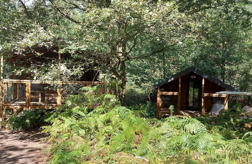 Saint-Pierre-des-Echaubrognes Cabine | Cabane Cap Town dans la forêt