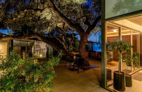 Travis Heights Hôtel | Frame Hotel - Treehouse