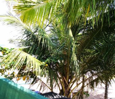 Tangalle Hôtel | Frangipani Beach Villa