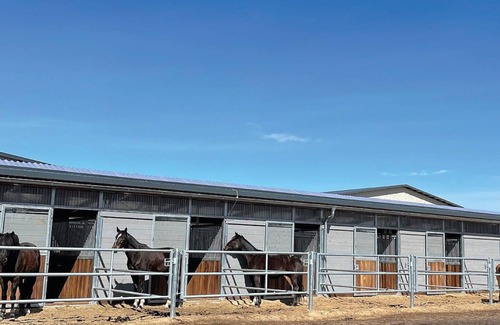 Neuhaus Autre | Frei wie der Wind-Glamping