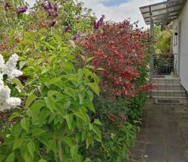 Adendorf Maison | Freistehendes Ferienhaus in Adendorf mit Terrasse, Grill und Garten