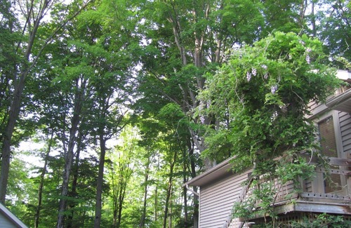 Saugeen 29 Cottage | Frenchman Bay Cottages - Loft