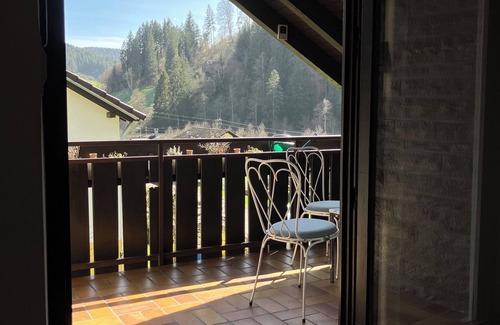 Dornhan Appartement | Freshly renovated apartment for perfect relaxation, very family-friendly