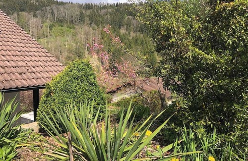 Dornhan Appartement | Freshly renovated apartment for perfect relaxation, very family-friendly