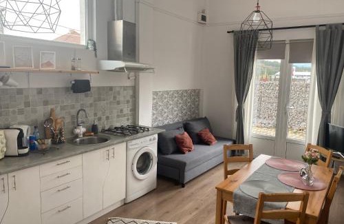Sincraieni Appartement | Fressh House