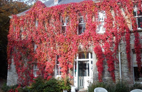 Ramelton Lit Et Petit-Déjeuner | Frewin Country House