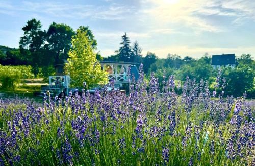 Kisapati Maison | Frida House át lake Balaton