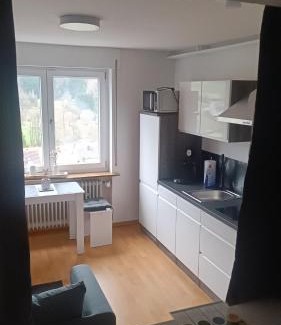 Eichenbuhl Appartement | Fridolin