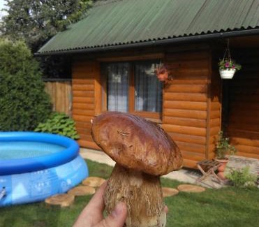 Kolomyya Appartement | Friendly House