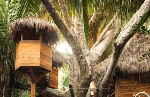 Lo de Marcos Maison | Friends and Family Gulf Getaway! Outdoor Pools, Beachfront, Free Parking!