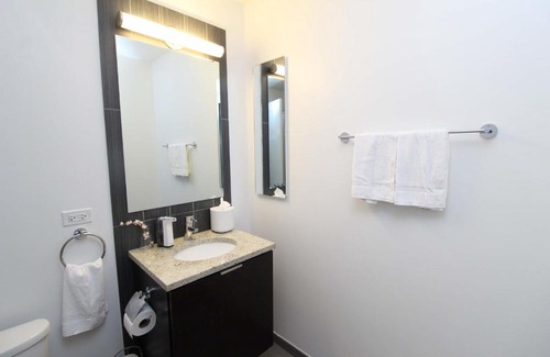 East Hyde Park Appartement | FRONTDESK 1 BR Apt near University of Chicago