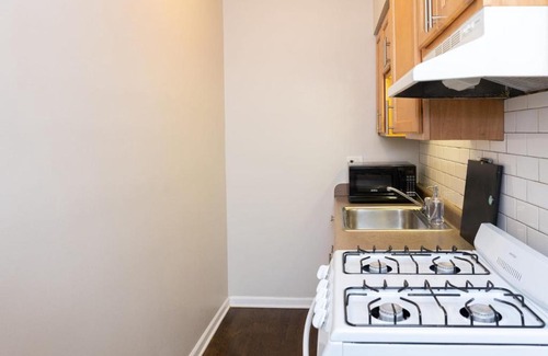 Hyde Park Appartement | FRONTDESK Classic 1 BR Apt near Jackson Park