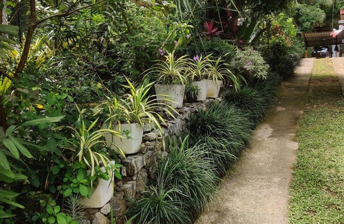 Kandy Maison | Fruit & Spices Garden Family Friendly Home Stay Kandy