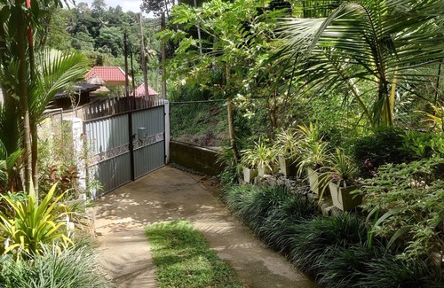Kandy Maison | Fruit & Spices Garden Family Friendly Home Stay Kandy