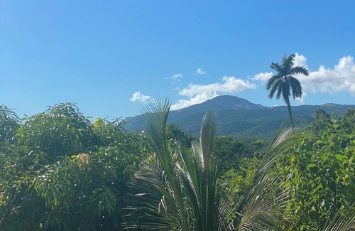 Yallahs Maison | Fruitful paradise Charming house with WiFi welcoming you to enjoy and relax