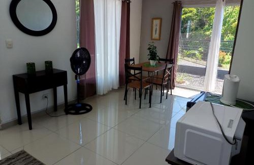 Coyolar Appartement | Fruta mango 1