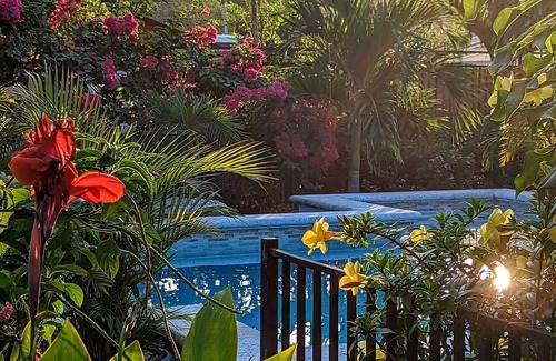 Samara Maison | Fully equipped studio, short walk to beach, stores and restaurants