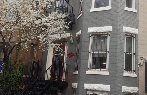 Lanier Heights Appartement | Fully Stocked 1 Bedroom Centrally Located in Adams Morgan Near Great Restaurants