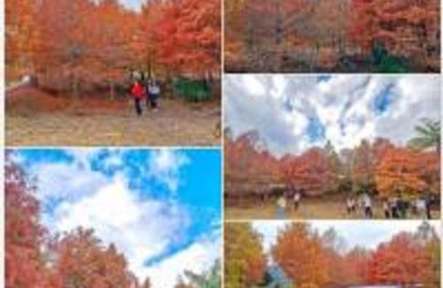 Beinan Maison | FuLu home stay