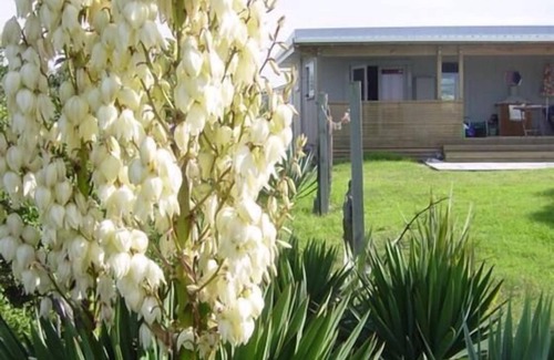 Otaki Beach Maison | Funky 50's Beach House