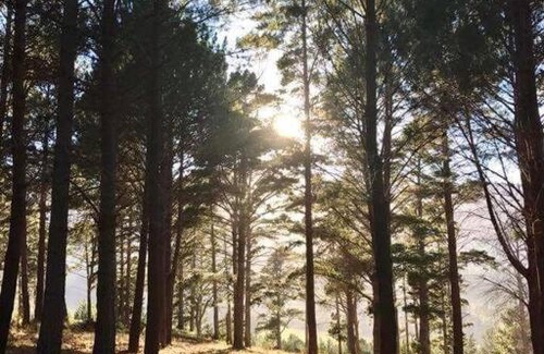Helderberg Rural Maison | Fynbos Log Cabin, Game Reserve and Wildlife Estate