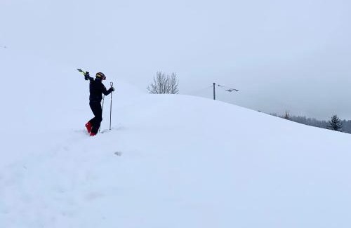 Oberstaufen Chalet De Ski | Gähwindehof Mountain Ranch Resort