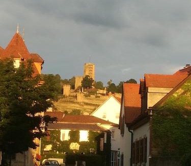 Wachenheim an der Weinstrasse Maison | Gästehaus Bacchus