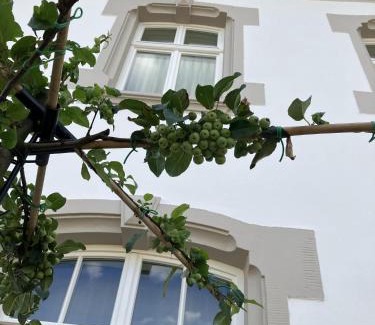 Kanzem Lit Et Petit-Déjeuner | Gästehaus Cantzheim