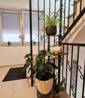 Juelich Maison | Gästehaus Ferienwohnung Zimmer 2B Jülich