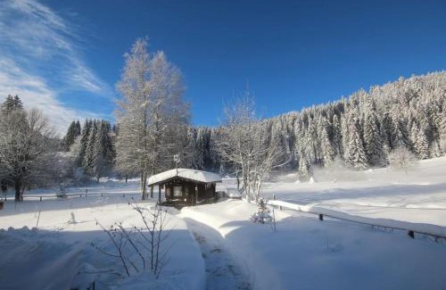 Blasiwald Appartement | Gästehaus Seewald- Ferienwohnung 4 "Lärche", Schluchsee, Blasiwald