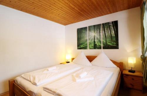 Blasiwald Appartement | Gästehaus Seewald- Ferienwohnung 1 "Ahorn", Schluchsee, Blasiwald