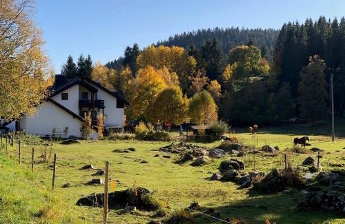 Blasiwald Appartement | Gästehaus Seewald- Ferienwohnung 6 "Fichte", Schluchsee, Blasiwald