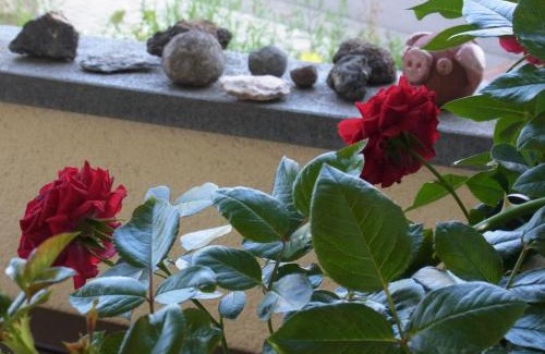 Kelberg Appartement | Gästehaus VillaVerde