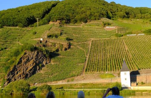 Trittenheim Maison | Gästehaus & Weingut Clüsserath-Weiler