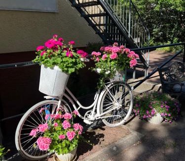 Mariehamn Auberge | Gästhem Neptun