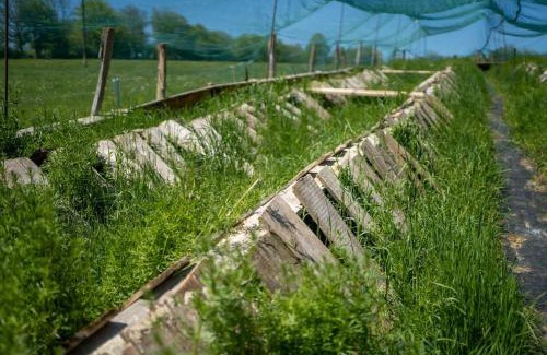 Chamesol Maison | Gîte à la ferme du Lomont