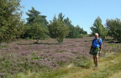 Chalmazel-Jeansagniere Maison | Gîte Écologique à 10 min des Pistes avec Wi-Fi et Environnement Calme - FR-1-496-98