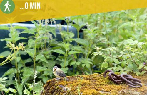 Betaille Maison | Gîte écologique avec vue Forêt & Vallée Dordogne !