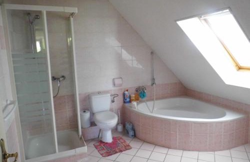 Dambach Appartement | Gîte 1 étage