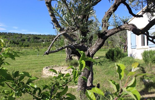 Mollans-sur-Ouveze Maison | Gîte à 10 mn de Vaison la romaine