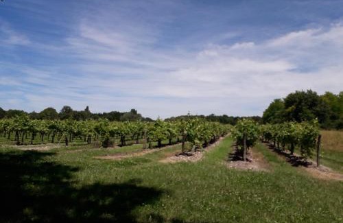 Lagarde-sur-le-Ne Maison | Gîte 3 La vigne est belle pour 1 à 3 personnes