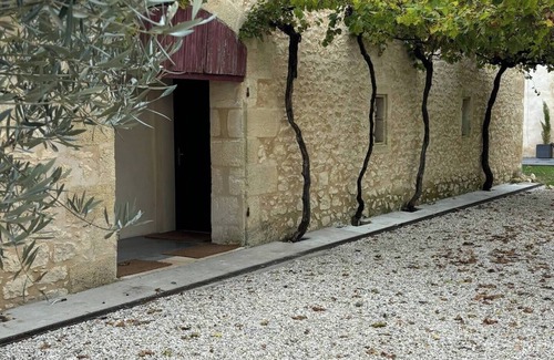 Saint-Christoly-Medoc Appartement | Gîte Anciens chais au milieu des vignes