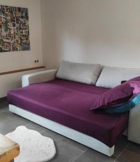 Langensoultzbach Appartement | gîte au jardin romantique pour 2 personnes