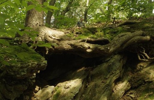 Sainte-Sophie-d'Halifax Lit Et Petit-Déjeuner | Gîte Au pied des Appalaches