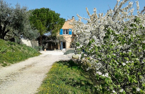 Mirabel-aux-Baronnies Maison | Gîte Bleu au milieu des oliviers
