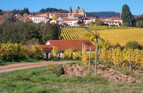Cremeaux Maison | Gîte charmant à la ferme, tout confort, proche de Roanne, idéal pour randonnées et baignades - FR-1-496-220